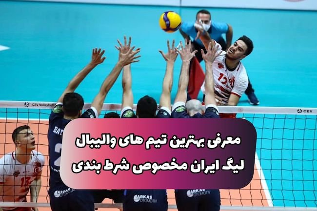 راهنمای شرط بندی لیگ والیبال ایران و بررسی بهترین تیم ها + بونوس ویژه