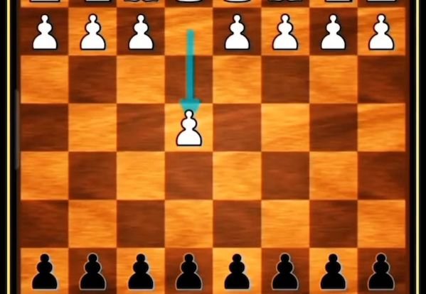 راهنمای شرط بندی شطرنج + سایت شرط بندی شطرنج 